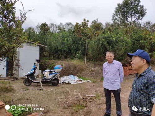 永康市启动林木种苗生产经营许可事项 双随机 抽查